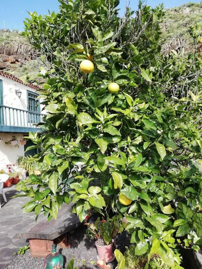 Grosse Finca 19Jh, Pool, Terrasse, Nahe Santa Cruz Santa Cruz de la Palma  Kültér fotó
