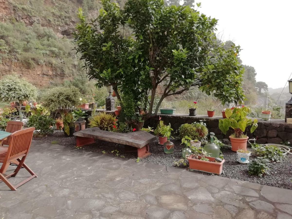 Grosse Finca 19Jh, Pool, Terrasse, Nahe Santa Cruz Santa Cruz de la Palma  Kültér fotó